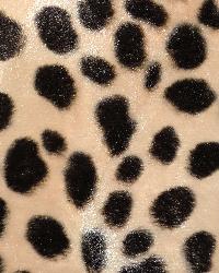 Baby Palomino Faux Fur 